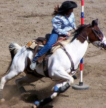 Wrangler National Finals Rodeo