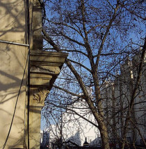 Barrio de San Telmo