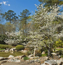 Birmingham Botanical Gardens