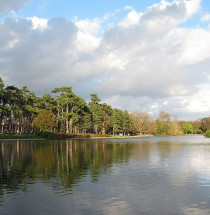 Bois de Boulogne