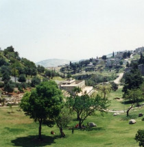 Botanische tuinen van Jeruzalem