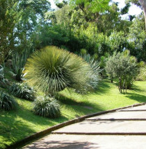 Orto Botanico