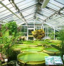 Botanische Tuin van Bazel