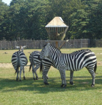 Brookfield Zoo