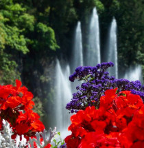 Butchart Gardens