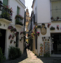 Calle de las Flores