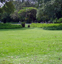 Campo de Santana