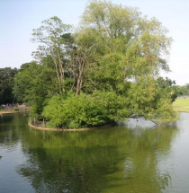 Cannon Hill Park