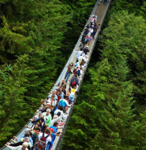 Capilano Suspension Bridge