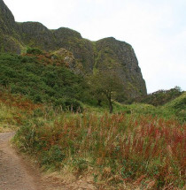 Cavehill