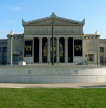 Field Museum