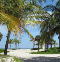 Crandon Park