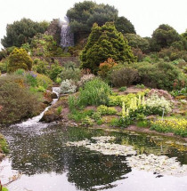 Royal Botanic Garden