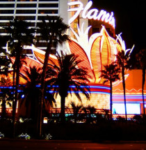 Flamingo Las Vegas