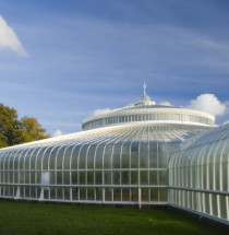 Glasgow Botanic Gardens