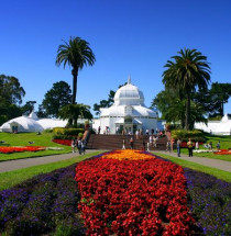 Golden Gate Park