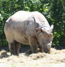 Hellbrunn Zoo