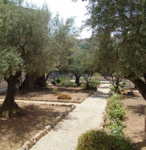 Hof van Getsemane