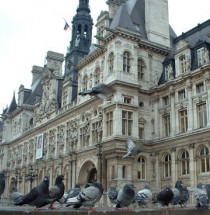 Hôtel de Ville