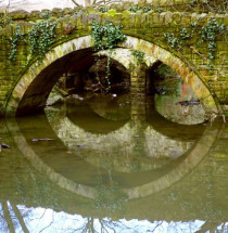 Jesmond Dene