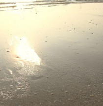 Juhu Beach