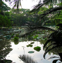 Koninklijk Rama IX-park