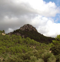 Sóller