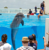 Marineland