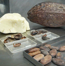Museum van Cacao en Chocolade