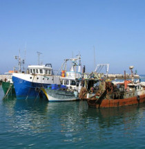 Oude haven van Jaffa