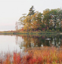 Parc-Nature du Cap St. Jacques