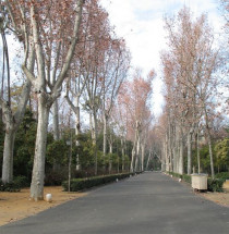 Parque María Luisa