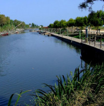 Parque Natural de la Albufera