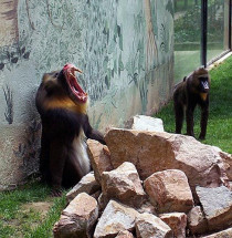 Parque Zoologico de Córdoba