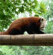 Parc Zoologique de Lille