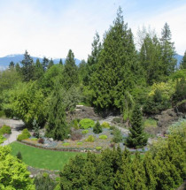 Queen Elizabeth Park