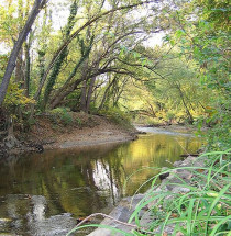 Rock Creek Park