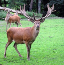 Dortmund Zoo