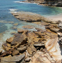 Royal National Park