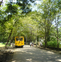 Sanjay Gandhi National Park