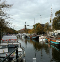 Schiedam