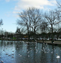 The Lough