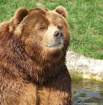 Tierpark Hagenbeck