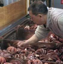 Tsukiji-vismarkt