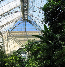 US Botanic Garden