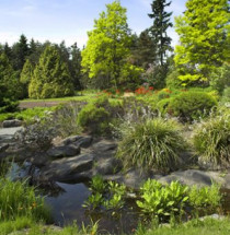 VanDusen Botanical Gardens