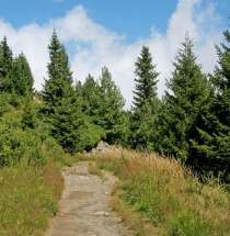 Vitosha