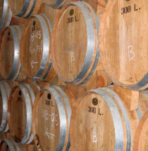 Barros Porto Wijnkelder