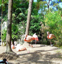Zoo-Parc du Cap Ferrat