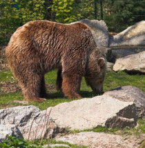 Zoologischer Garten